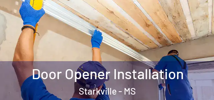 Door Opener Installation Starkville - MS