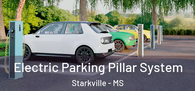 Electric Parking Pillar System Starkville - MS