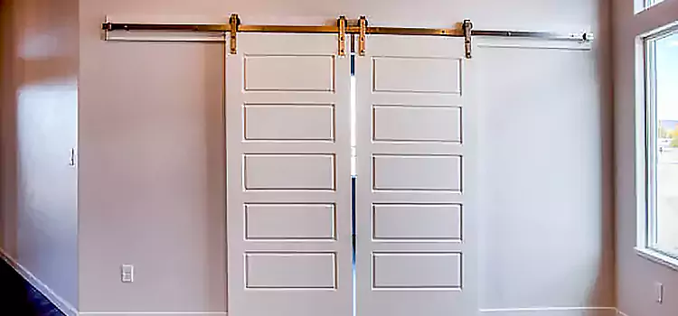 Glass Barn Door with Installation Hardware Kit Starkville