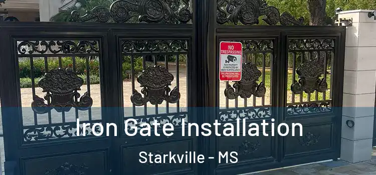 Iron Gate Installation Starkville - MS